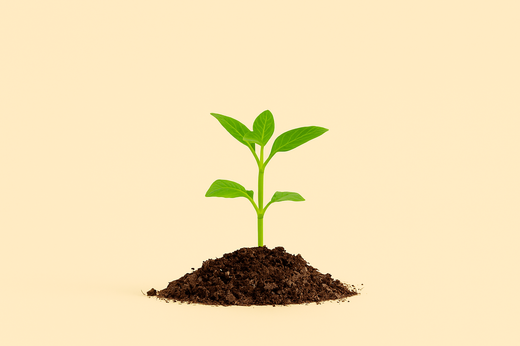 Small green plant growing out of a pile of soil on a beige background